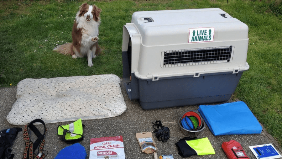 Le matériel essentiel pour partir en voyage en camping-car avec un chien