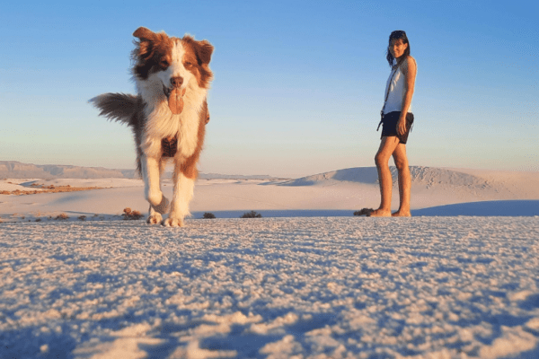 Partir à l’aventure avec un chien pendant un an