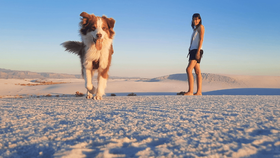 Partir à l’aventure avec un chien pendant un an