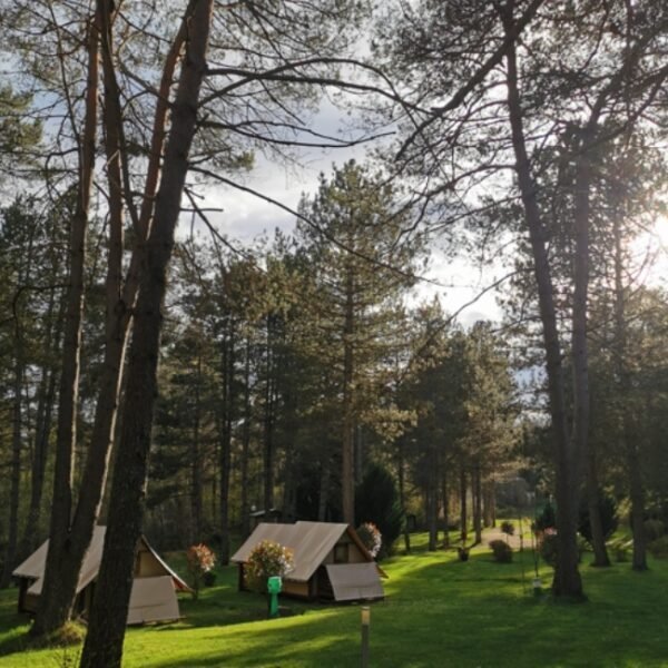 Hébergements dans la nature au Camping les Sapins de Corrèze à Palisse à Corrèze en Nouvelle-Aquitaine