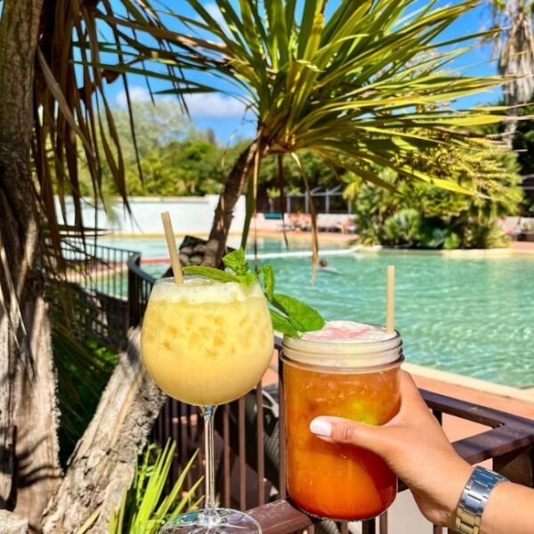 Bar disponible au Camping La Petite Camargue à Aigues Mortes en Gard, Occitanie