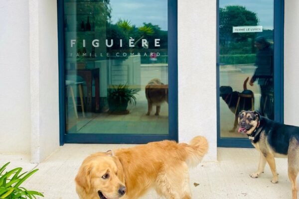 Domaine Viticole Figuière