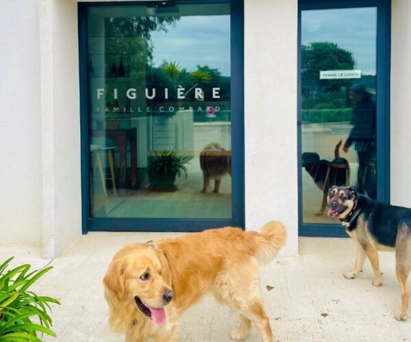 Domaine Viticole Figuière