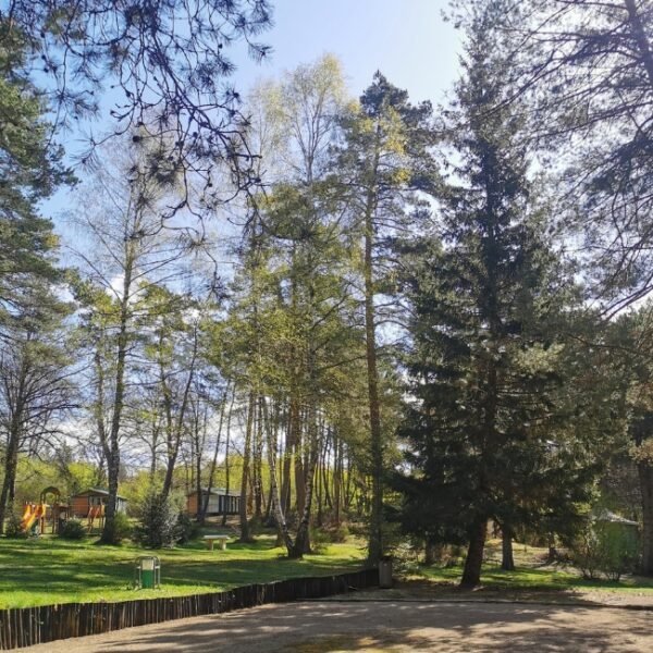 Nature au Camping les Sapins de Corrèze à Palisse à Corrèze en Nouvelle-Aquitaine
