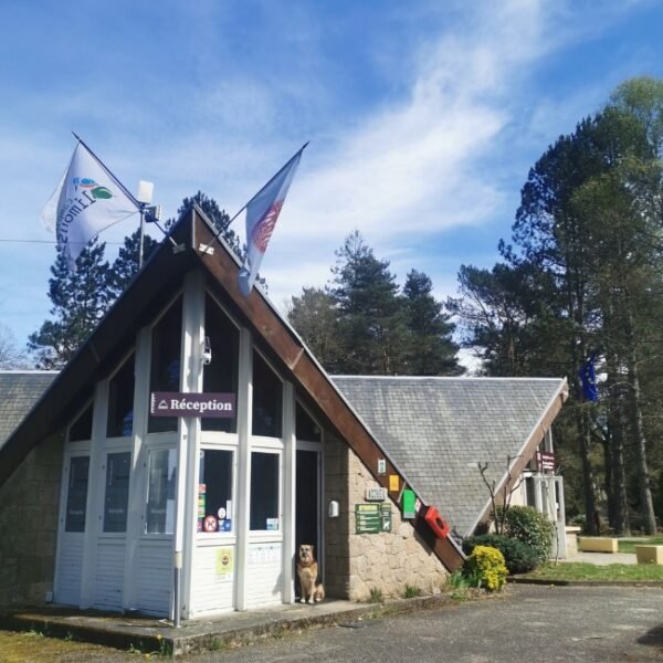 Réception et chiens acceptés au Camping les Sapins de Corrèze à Palisse à Corrèze en Nouvelle-Aquitaine