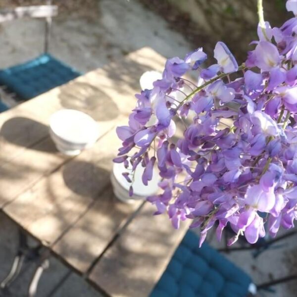 Table de jardin et fleurs au Gite La Sagnarde à Loubressac dans le Lot proche de la Vallée Dordogne