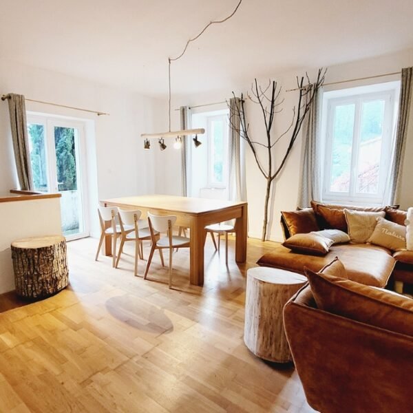 Espace sejour de Maison Pierres Bois Feuilles à Alzon en Gard, Occitanie