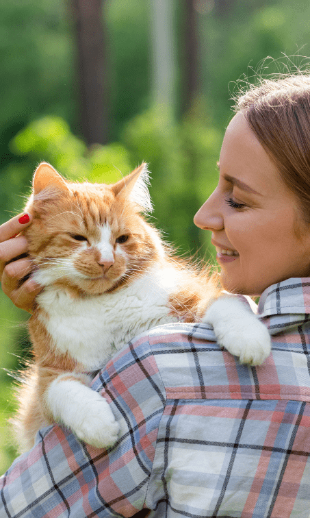 chat en voyage dans la somme