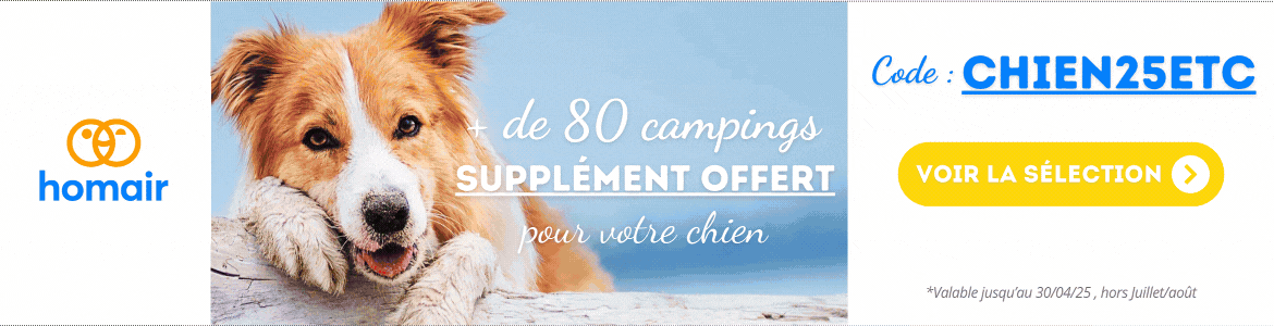 HOmair avec un chien
