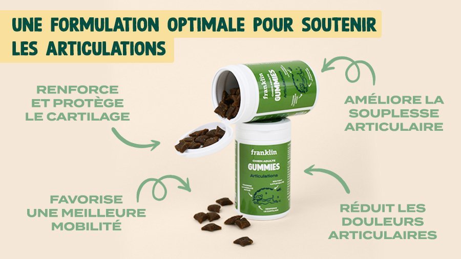 friandises appétissantes pour soulager les articulations douloureuses des chiens