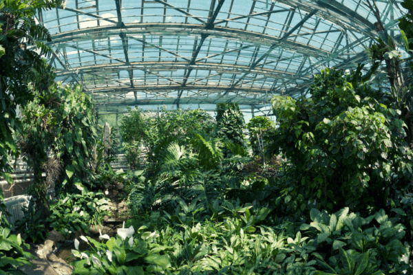 Jardin Botanique d’Evreux