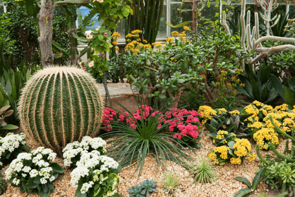 Le Jardin Secret de Pan