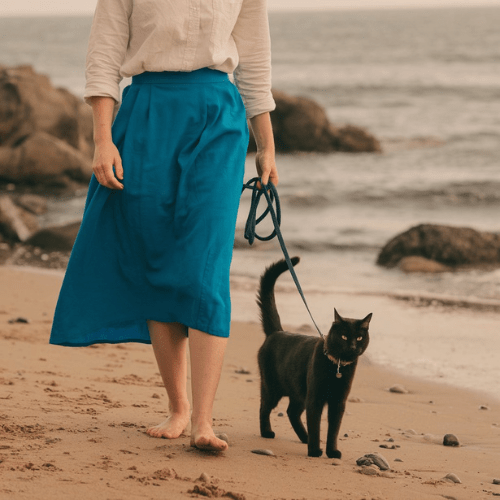 chat à la plage