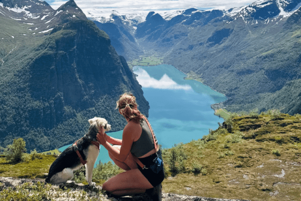 Road-trip d’été à travers la Norvège avec un chien