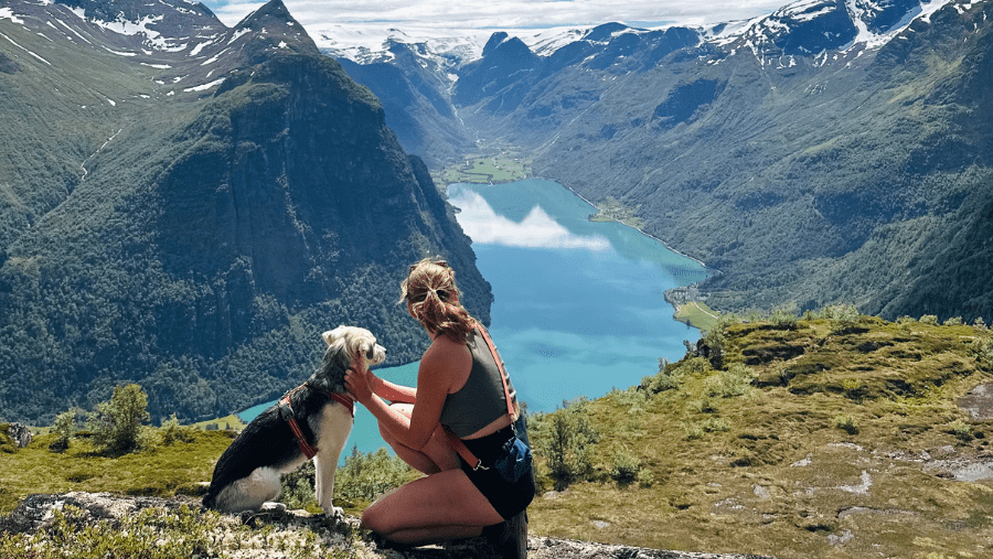 Road-trip d’été à travers la Norvège avec un chien