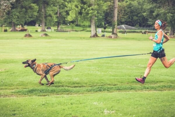 Les Cani’spot : des parcours de canitrail  conçus pour votre chien