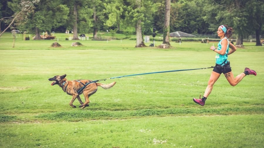 Les Cani’spot : des parcours de canitrail  conçus pour votre chien