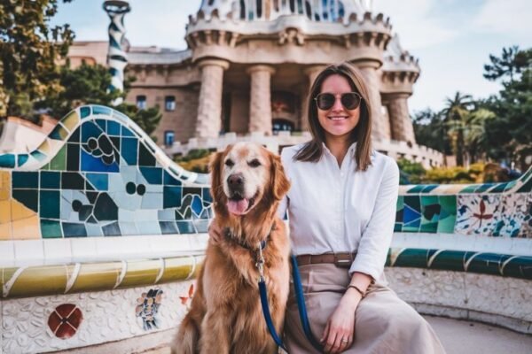 Voyager avec son chien à l’étranger : mode d’emploi