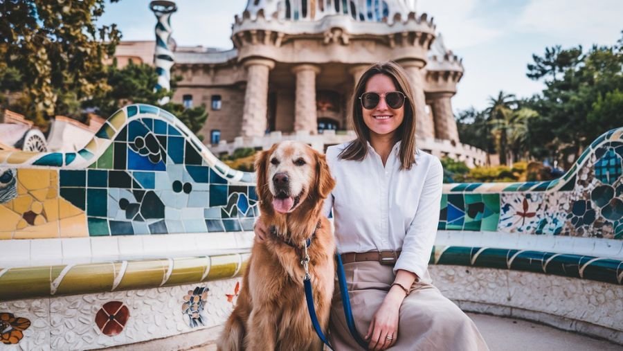 Voyager avec son chien à l’étranger : mode d’emploi