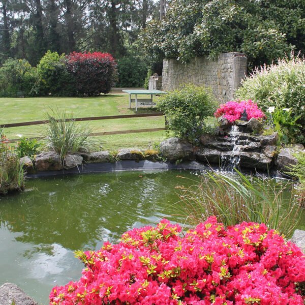 étang et fleurs au Breizh Evasion à Plogonnec en Finistère en Bretagne