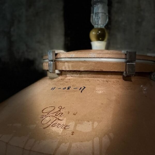 Vin produit par Domaine du Vieux Pressoir à Vaudelnay en Maine-et-Loire dans le Pays de la Loire
