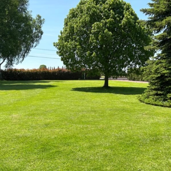 Jardin de 5500m au Gîte Les Jasmins du Moulin à Chamblac dans l’Eure en Normandie