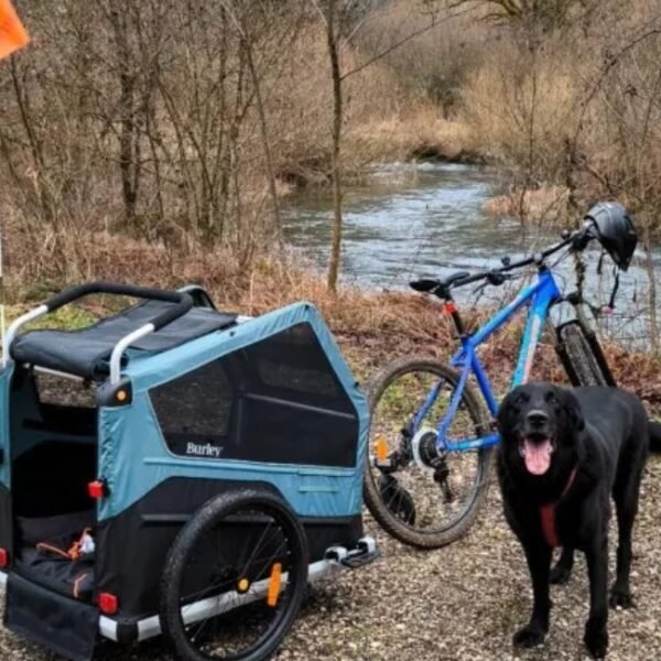Chiens acceptés au Patte sur l'aventure - Activités et Tourisme Outdoor à Lavancia-Epercy en Jura en Bourgogne-Franche-Comté