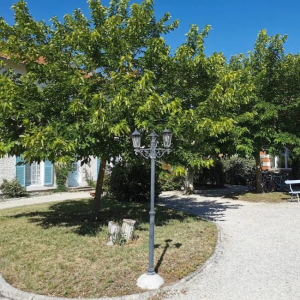 Jardin à La Ferme Antoinette à Les Mathes en Charente-Maritime en Nouvelle Aquitaine