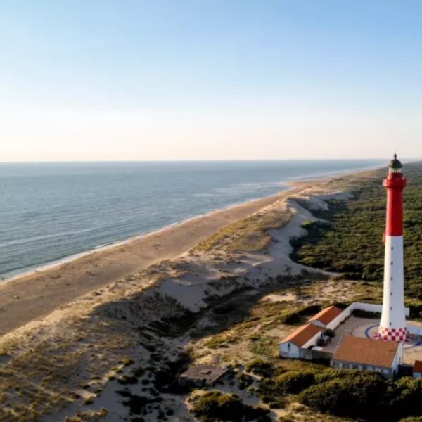 La Clairière - La Tremblade - Charente Maritime - Nouvelle Aquitaine - Animaux acceptés - Chiens acceptés - EmmèneTonChien.com