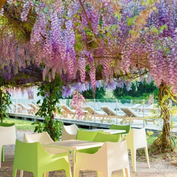 Terrasse du restaurant du Camping U Casone en Haute Corse à Ghisonaccia proche de la Plage et en Pleine Nature