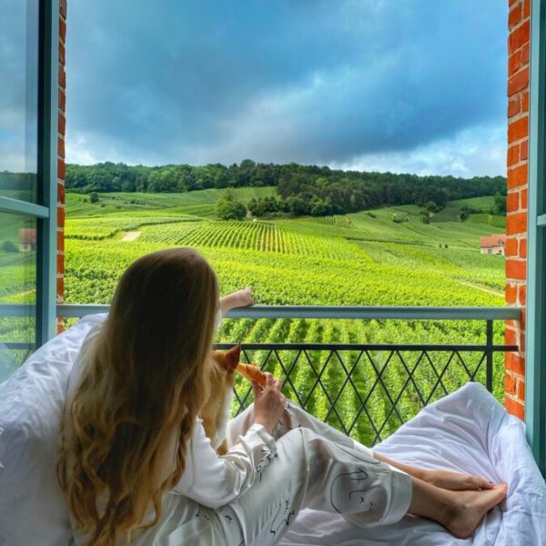 Vue sur les vignes au Château de Sacy à Saucy en Marne dans le Grand Est