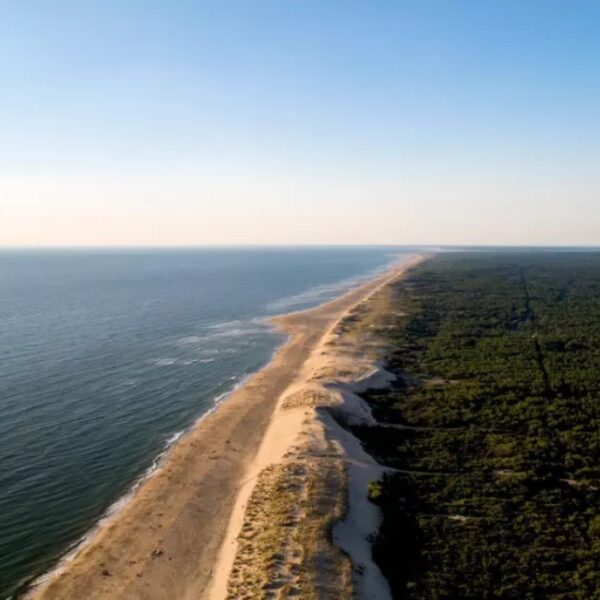 La Clairière - La Tremblade - Charente Maritime - Nouvelle Aquitaine - Animaux acceptés - Chiens acceptés - EmmèneTonChien.com