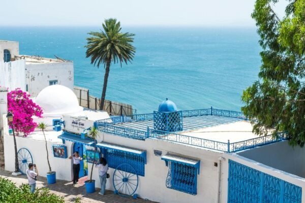 Guide de voyage : la Tunisie avec un chien