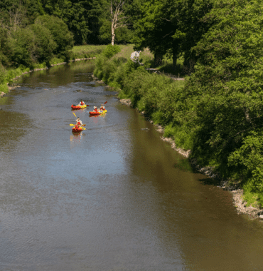 Cycling along the Vire River with your dog makes you want to go canoeing there afterwards © Xavier Lachenaud - Attitude Manche