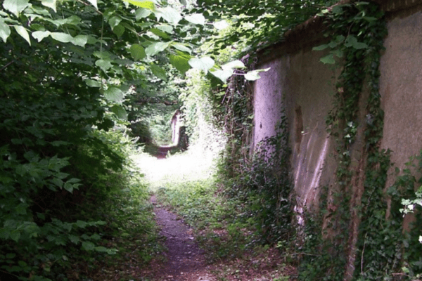 Bois du Défends
