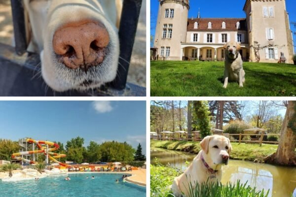 Camping Château de Fonrives
