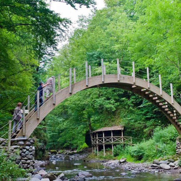 Camping l'Echappée Verte 3*