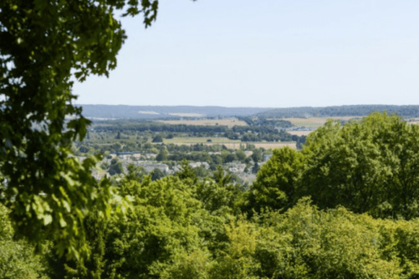 La porte aux chiens