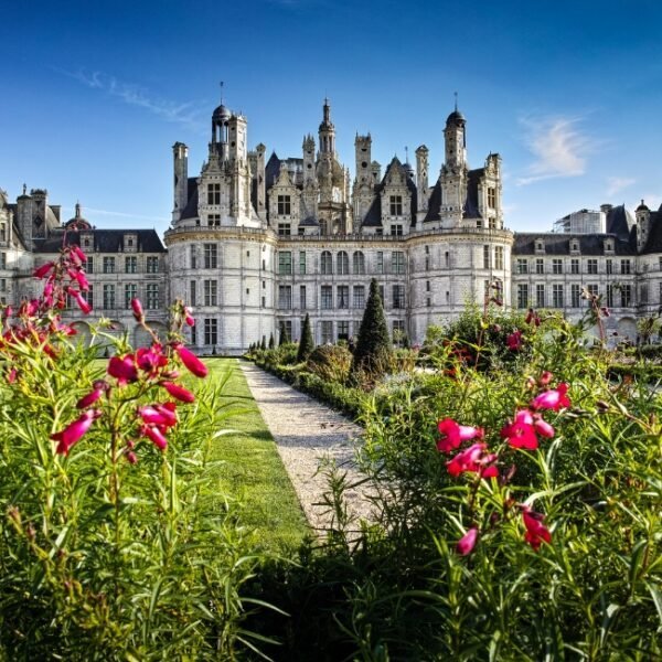 Parc du château ouvert aux chiens près de l'Hôtel Relais de la Loire près de Chambord dans le Val de Loire