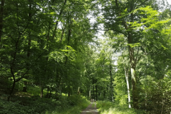 Le sentier de l’Anguille