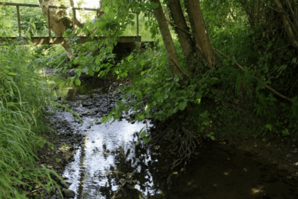 Le sentier de la biodiversité