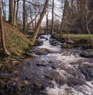 Waterfalls in Mortain in Manche: stage of a dog-friendly cycling route © Xavier Lachenaud - Attitude Manche