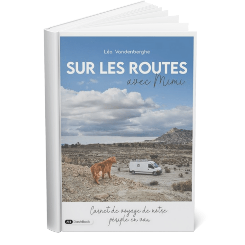 livre de Léa Vandenberghe - sur les routes avec Mimi son chat