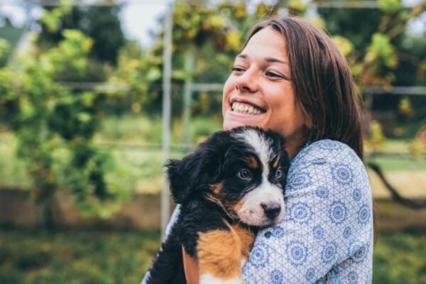Les bons réflexes avant de partir en vacances avec son chiot