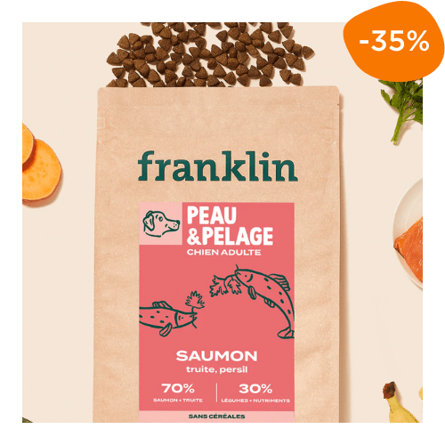 croquettes pour chien peau et pelage franklin
