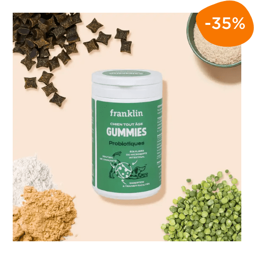 gummies complément alimentaire chien Franklin probiotiques