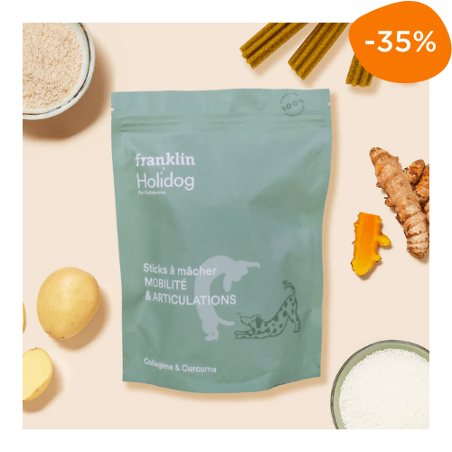 sachet de sticks à mâcher pour chien spécial articulation Franklin