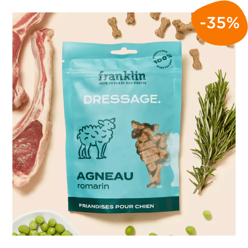 friandises chien franklin agneau