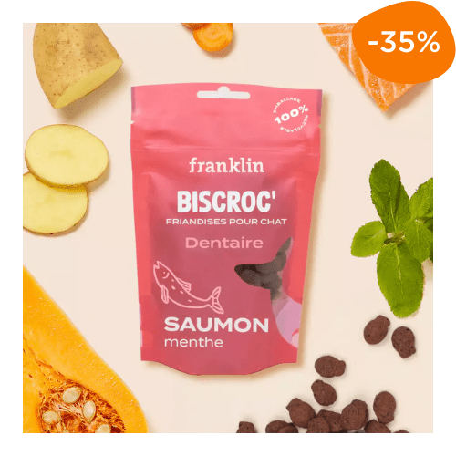friandises dentaires chat Franklin