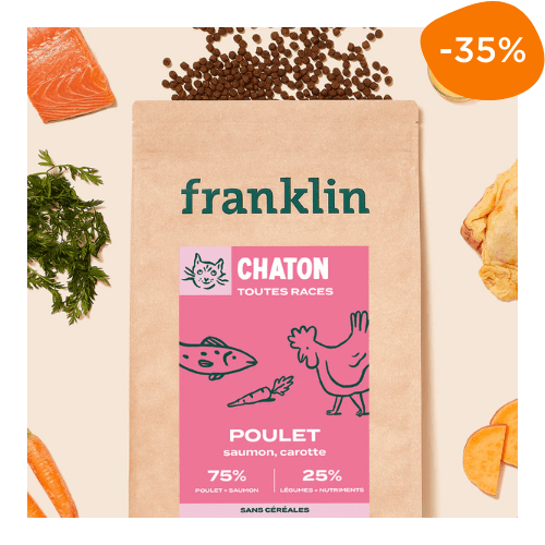 sac croquettes franklin chaton